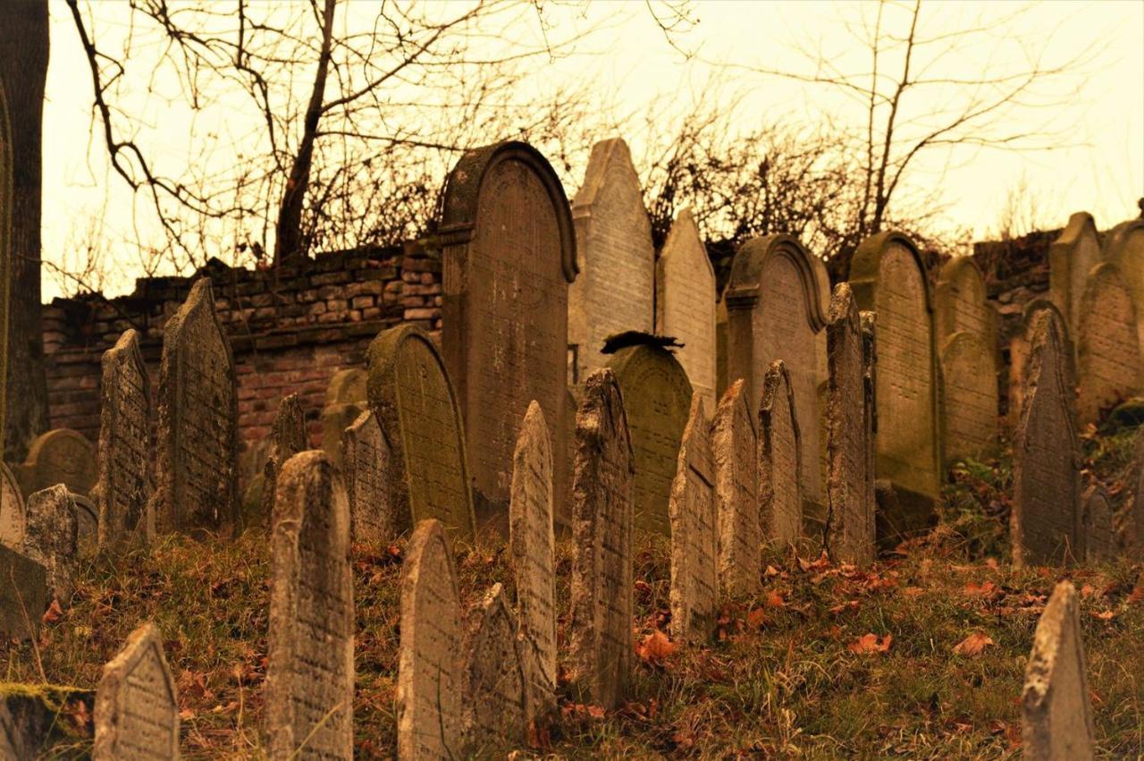 Penzion David Třešť Exteriör bild